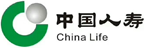 中国人寿：企业级报表系统
